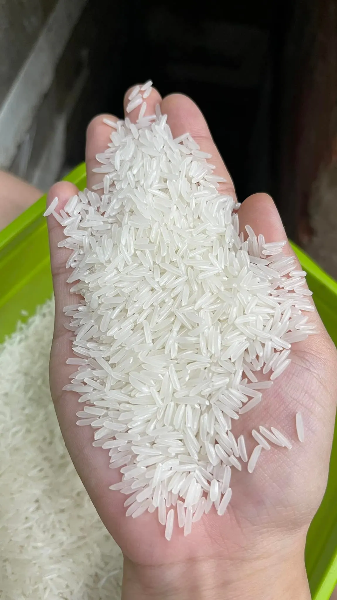 Long rice Jasmine rice Vietnam 10kg 25 kg 50kg pp bags for rice