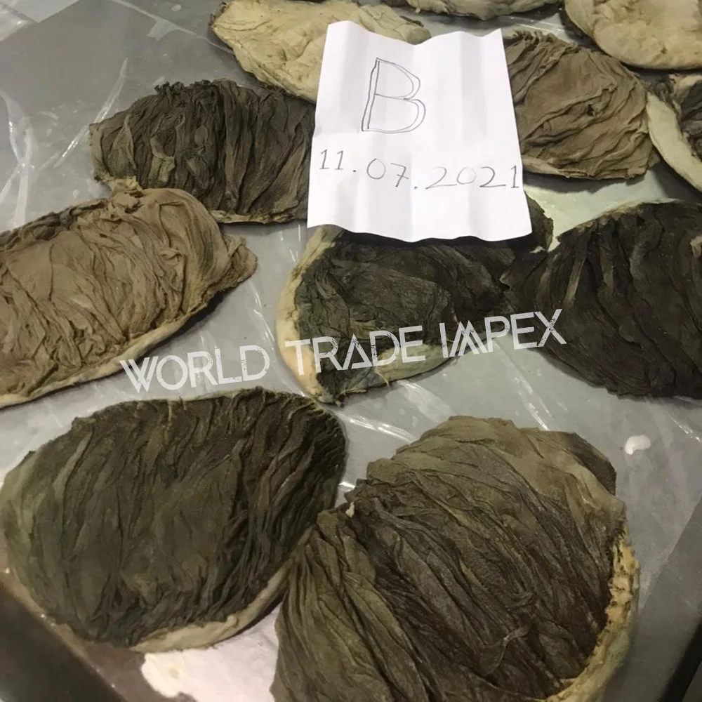 
Best quality Indian frozen dry omasum salted beef 