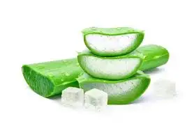 EXPORTING VIETNAMESE ALOE VERA JELLY: HIGH QUALITY, GREAT PRICES