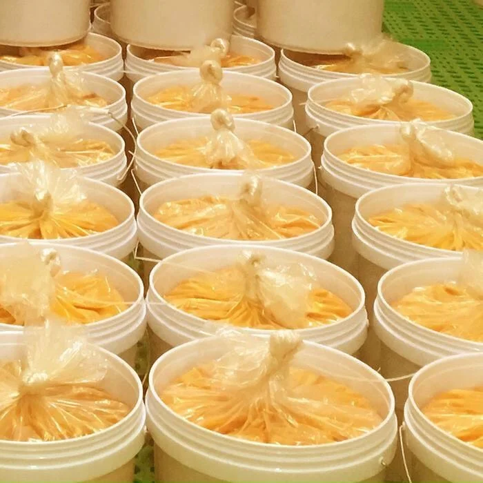 Strong Sour sweet FROZEN passion fruit juice from Vietnam 