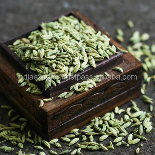 Direct Factory Price Natural Green Fennel Indian Single Spices & Herbs Buy From Indian Manufacturer at Best Rate