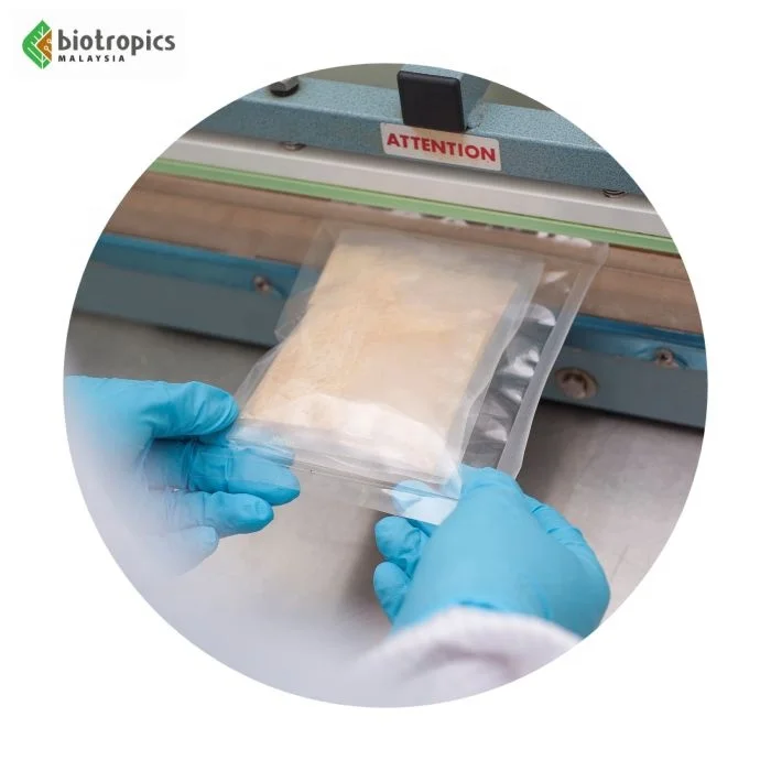 New Premium Standardized Ingredient Eurycoma Longifolia (Tongkat Ali) Roots Extract Harvested & Processed in Malaysia