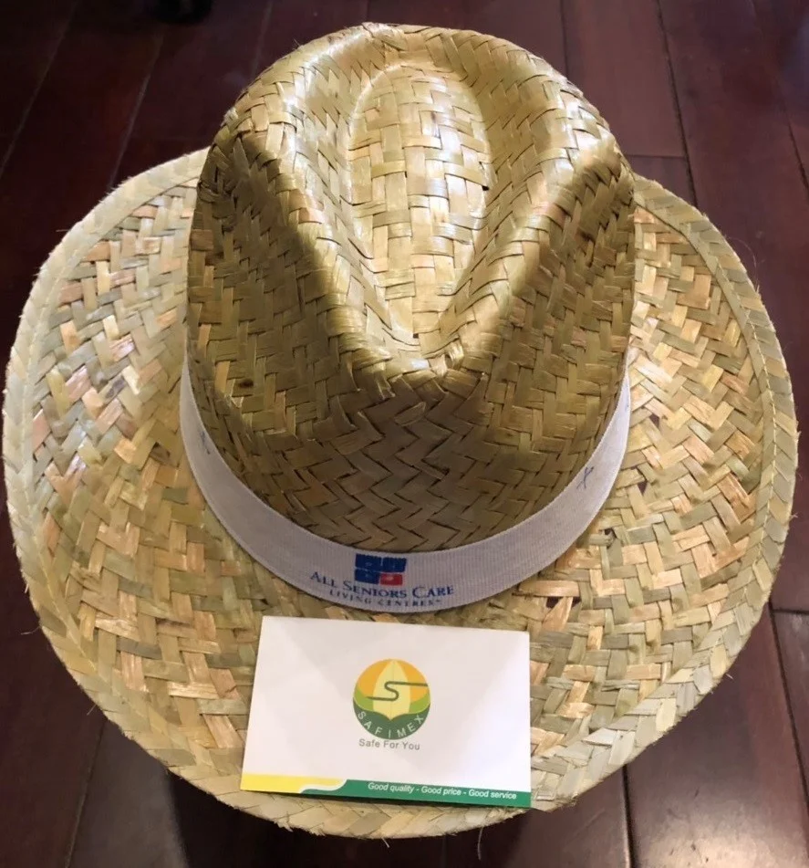 Custom logo straw hat for promotion wholesales in best price from Vietnam factory/Cheapest price cowboy straw hat plain hat