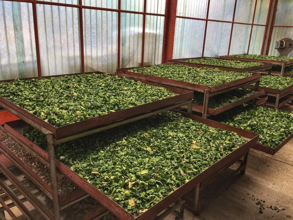 Top Selling 150 grams Herbal Massage Ball Traditional for Body Face Massage Relax Refresh Made in Thailand Made in Thailand