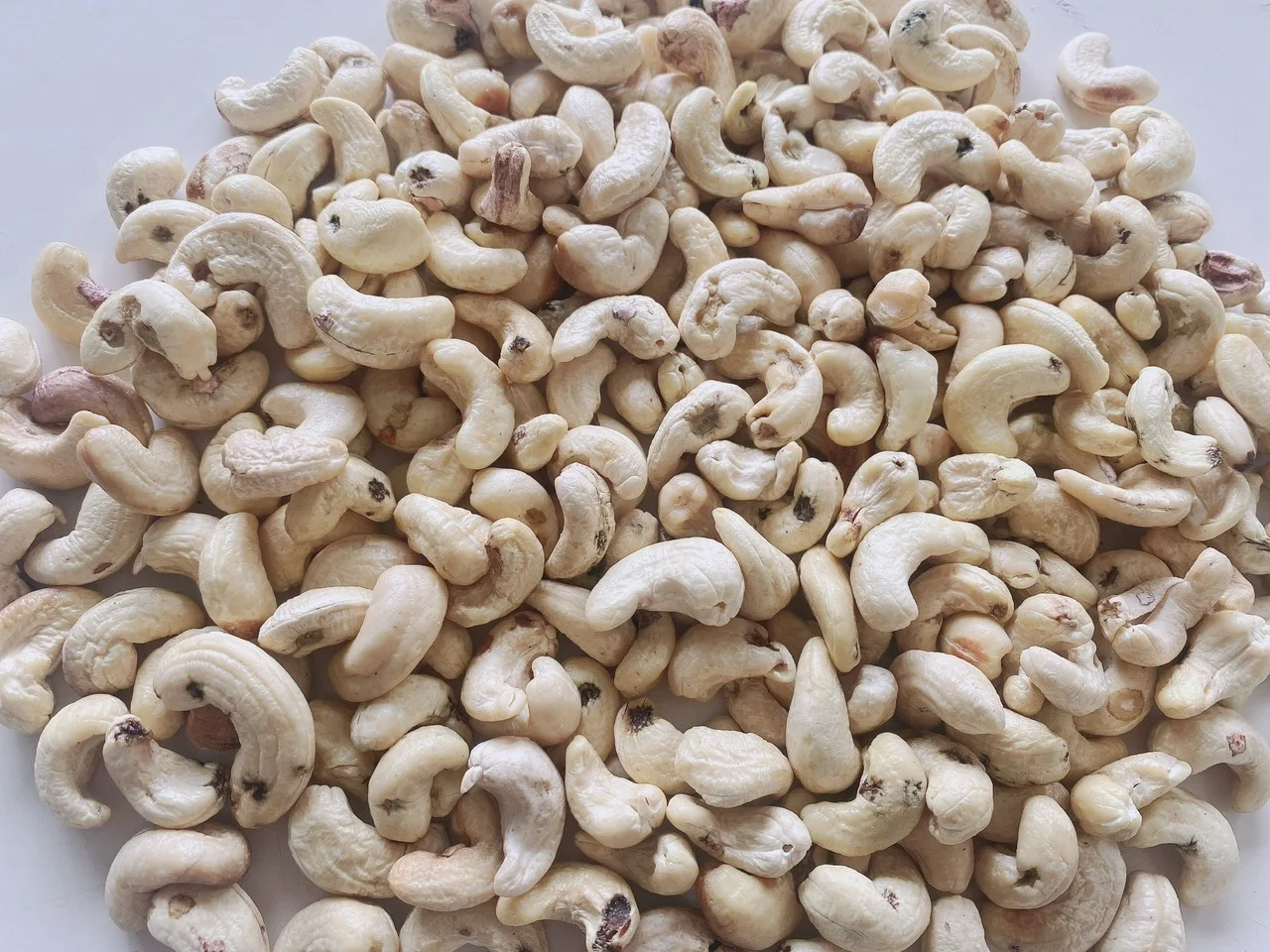 Vietnam Manufacturer Small Pieces Cashew Nuts Dried Raw Cashew Kernel w240 w320 w450