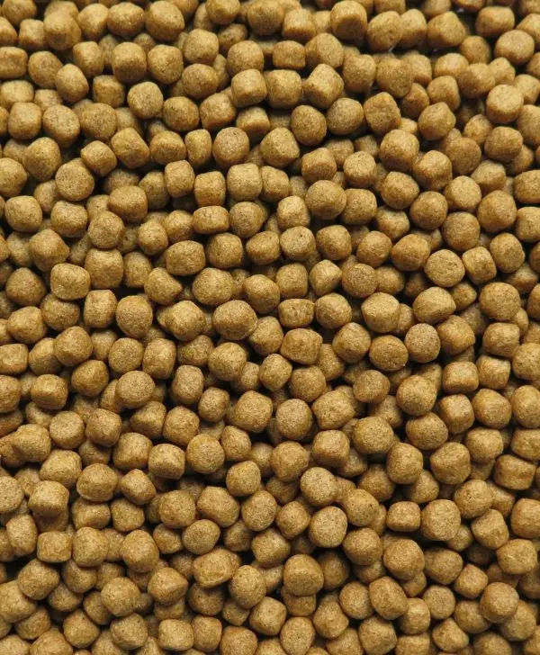 Feed specialized for Tilapia fish - UP TILAPIA FISH FEED - for Tilapia fish 20kg/bag export from Vietnam good quality