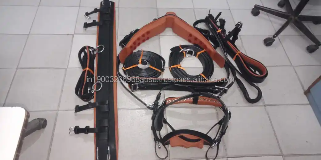 Horse harness.jpg