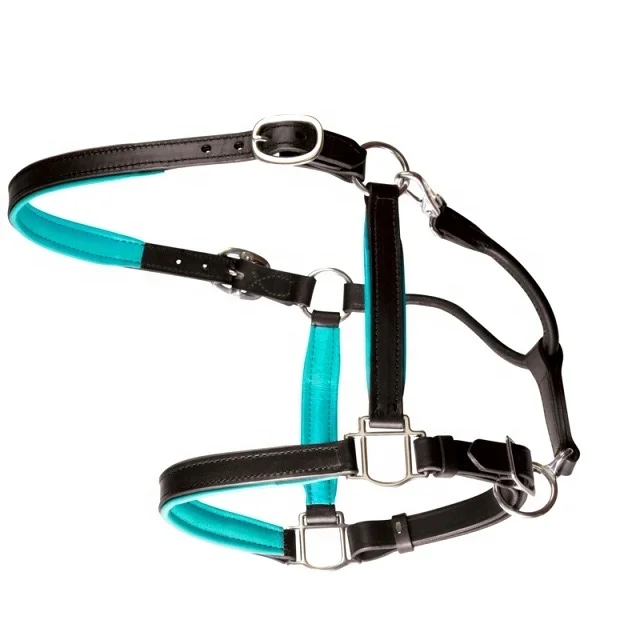 Supper Quality Genuine Leather Horse Halter with Light Blue Soft Neoprene Padded Nose Band and Neck at Affordable Price