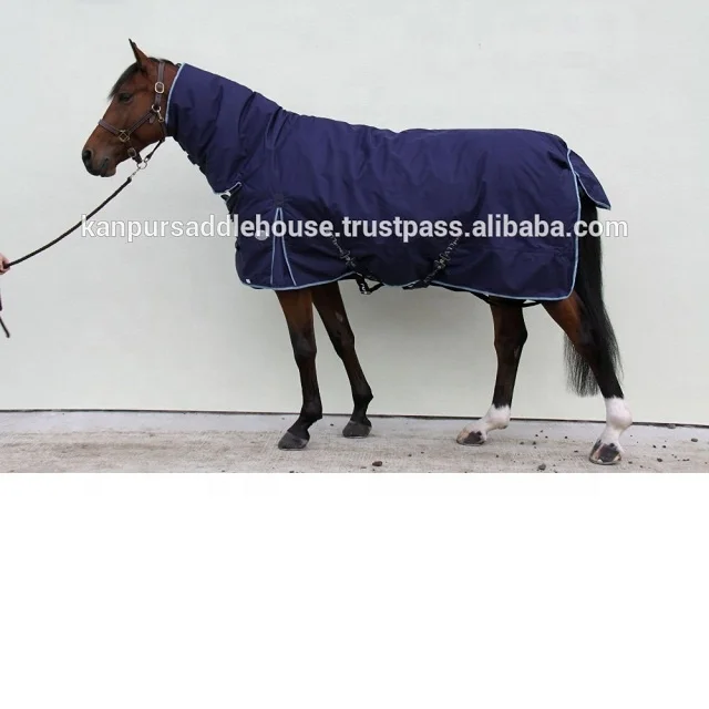 Horse exercise sheet