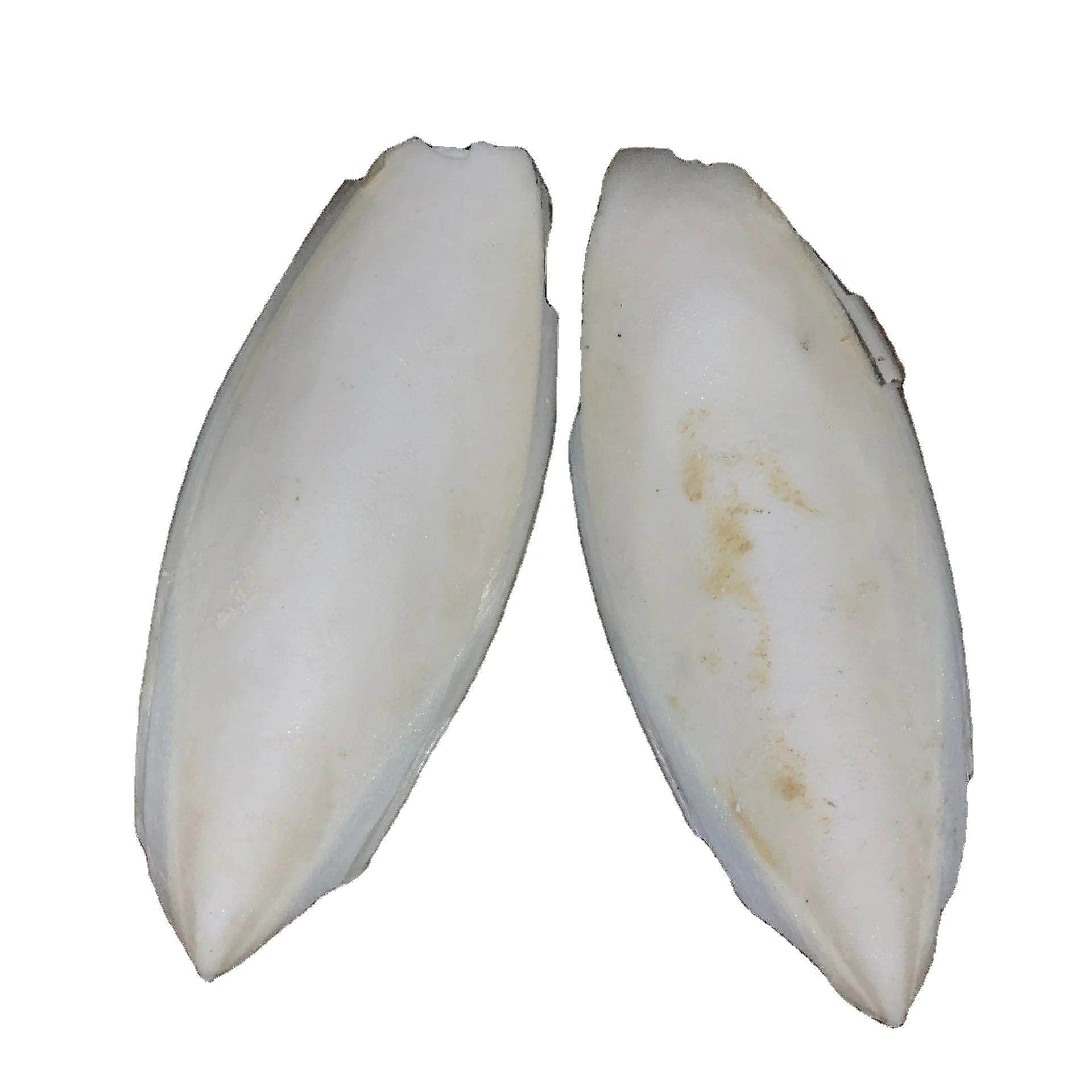 Хит продаж кости для сушеных морских слепков птиц и черепашек натуральные из