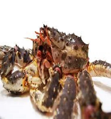 Аутентичные Оптовые норвежские морепродукты свежие замороженные Аляскинский красный краб
