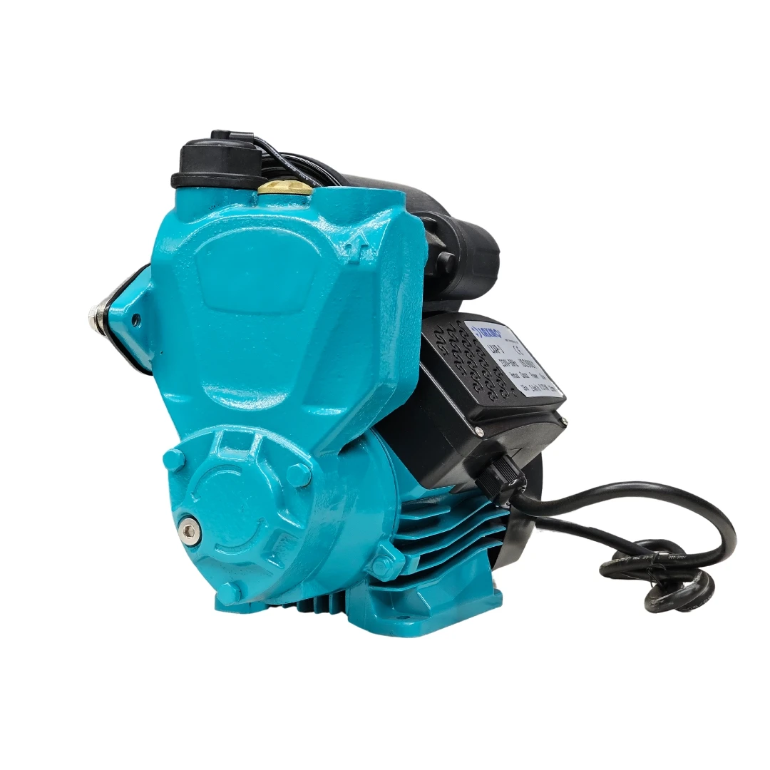 Industrial Silent High Pressure Automatic Self Priming Vacuum Water Pump
