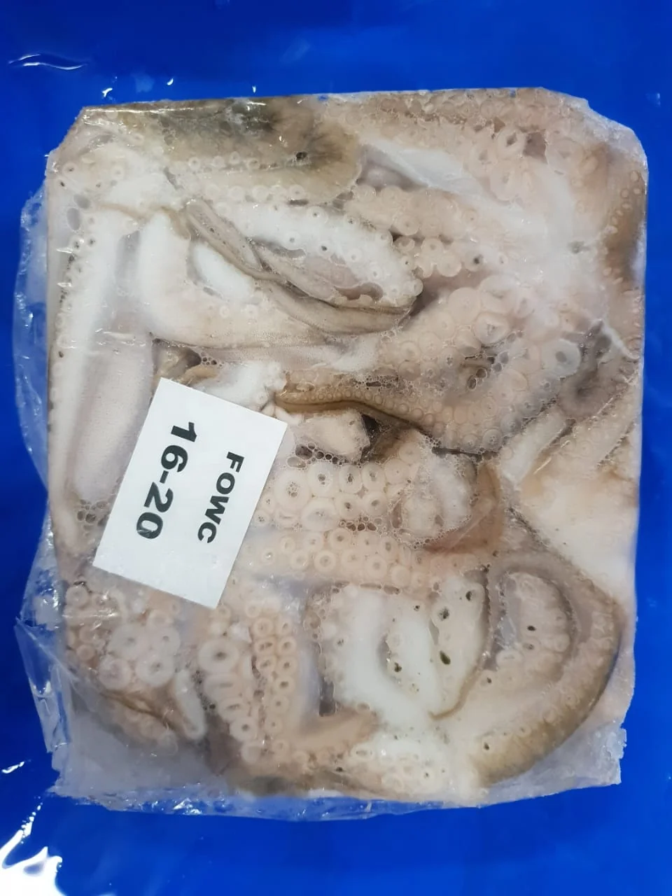 Высококачественный замороженный осьминог, очищенный из Индии