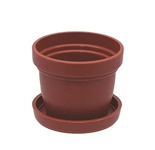 Min planter pots for potted succulents