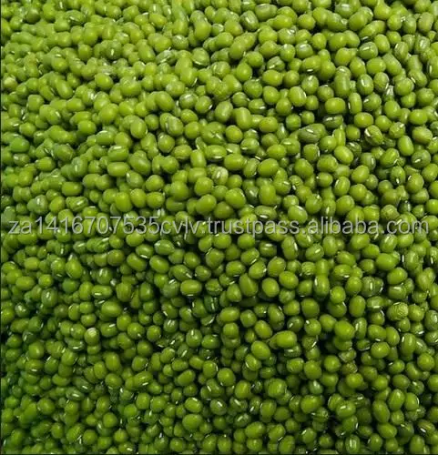 green-mung-beans-500x500.jpg