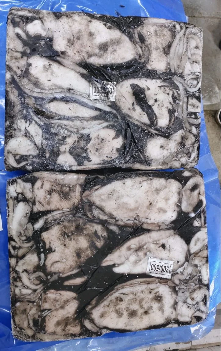 FROZEN WHOLE CUTTLEFISH