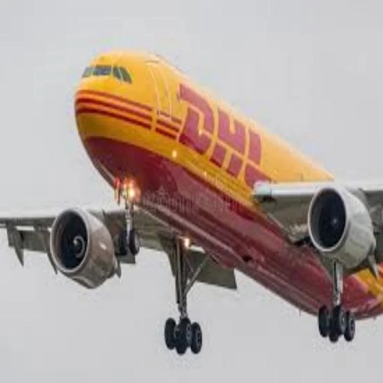 International Logistics Agency China Top 10 Freight Forwarder Express Delivery to USA/Europe/Canada Ups Dhl Delivery