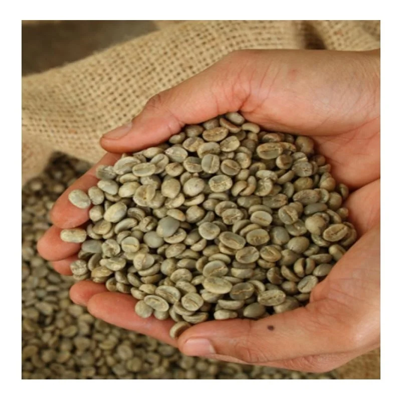 Vietnam export products robusta coffee bean vietnam green green bean coffee drink coffee arabica