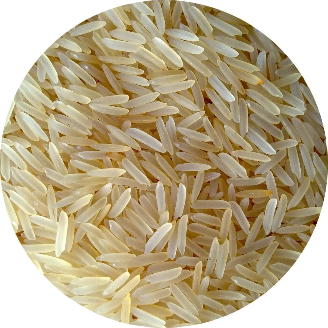 Wholesale premium golden rice 1121 golden sella basmati rice broken long grain basmati sadam rice from Indian supplier