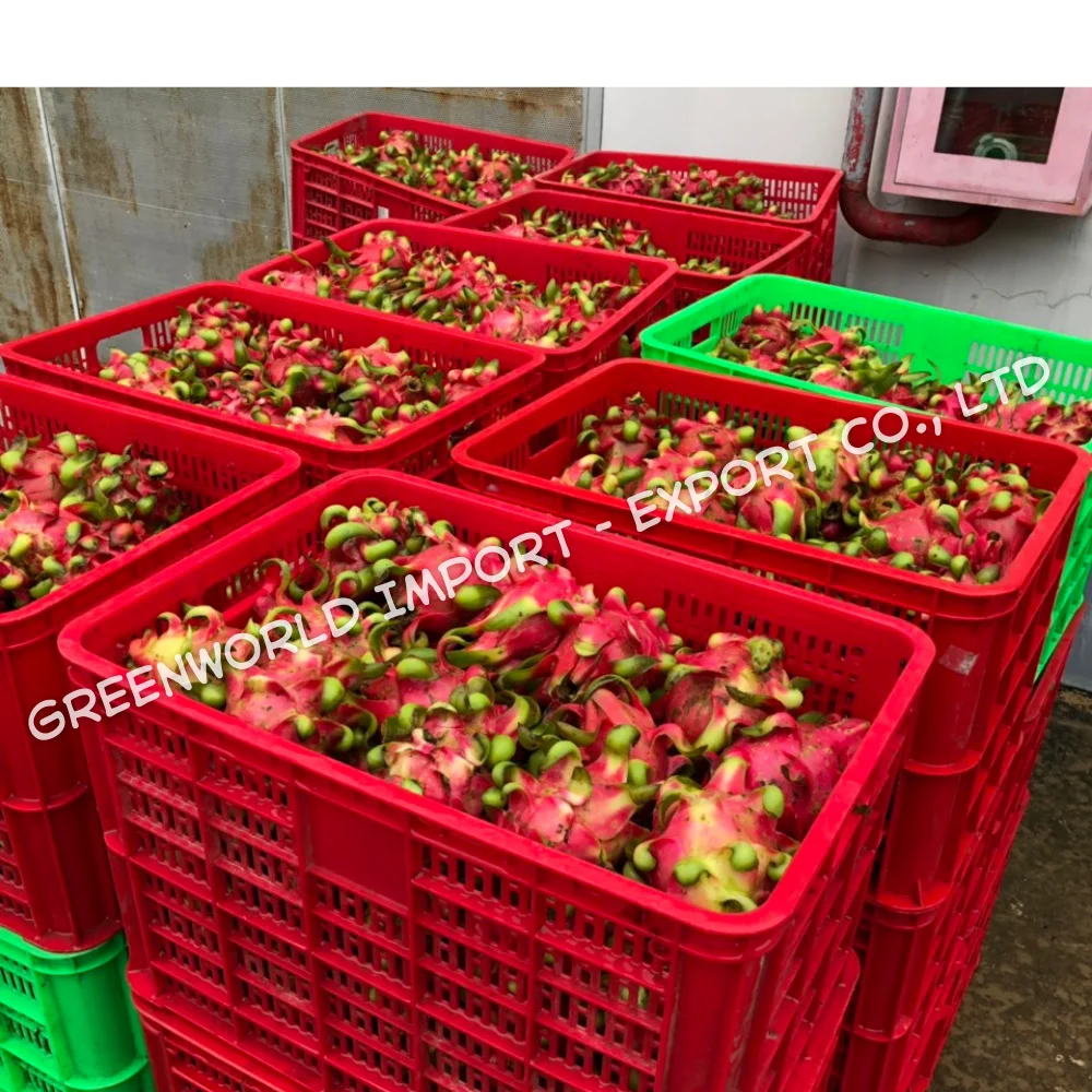 FROZEN RED DRAGON FRUIT VIETNAM - BEST PRICE IQF DRAGON FRUIT FOR NOW - IQF PITAYA WITH PREMIUM QUALITY AND BEST SERVICE EVER
