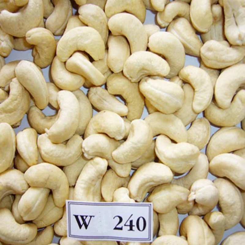 FRESH CASHEW NUTS/ CASHEW NUTS W320 W240 EXPORT CASHEW NUTS  FROM VIETNAM/ Ms Jolie (Whatsapp : +84902679738)