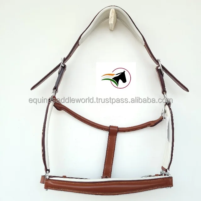 LH CONCNOSE TAN 18640.jpg