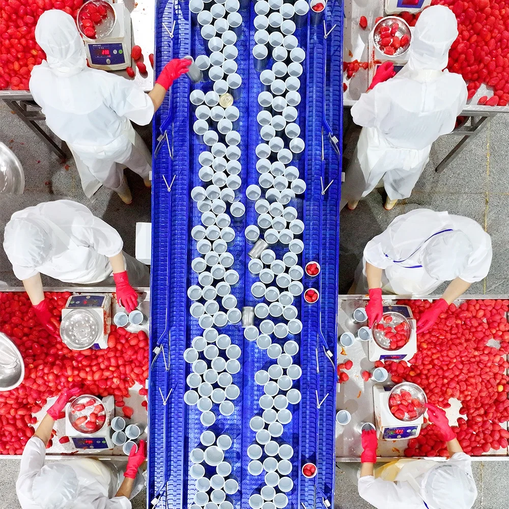 Halal Tomato Paste Canned Food 28-30% Brix Easy Open Tin Tomato Paste For Halal African Muslim Food Cooking