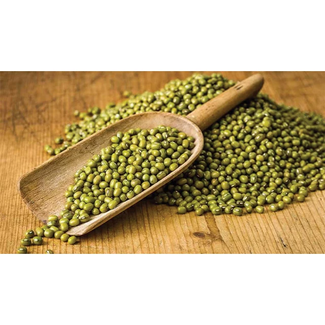 Wholesale Price Green Beans Bigger Size Cheap Top Quality Dried Green Mung Beans Made In Vietnam Best Price