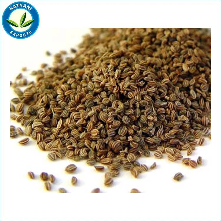 Finest Quality Widely Selling Pure And Natural Celery Seed Essential Oil for Wholesale Buyers
