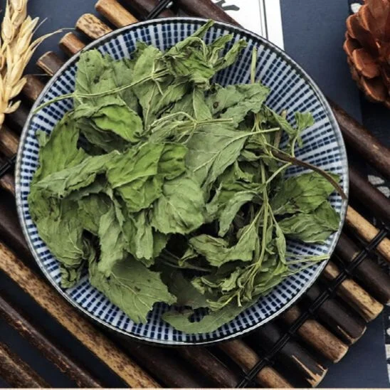 Wholesale spot high quality dried organic mint leaves tea mint leaves loose mint leaves