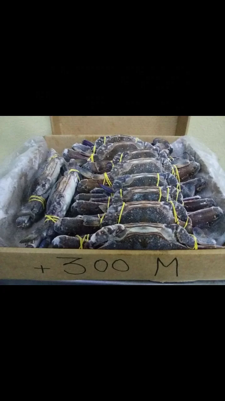 Поставщик замороженных голубых крабов трейдер экспортер Индии на дешевой фабрике и оптовая цена большое