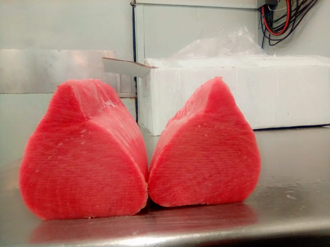 Хит продаж 2021 замороженный тунец обработанный CO Вьетнам/Индонезия-Fao 71