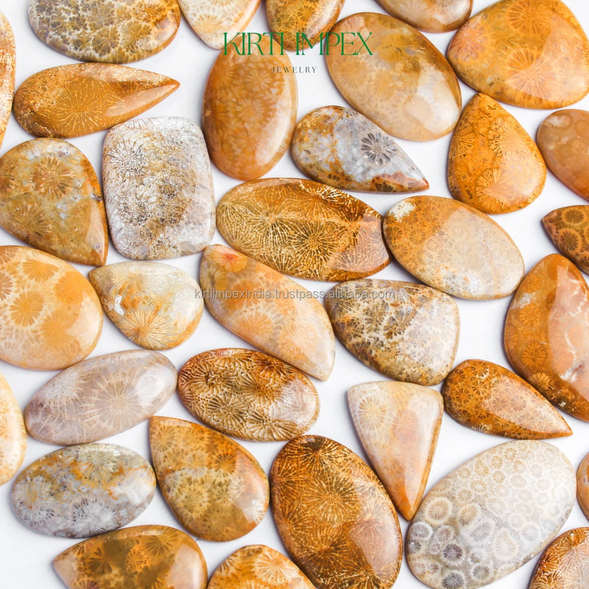 Natural Fossil Coral Cabochons Semi-Precious Loose Crystal Trending Authentic Organic Gemstones FlatBacks Fine Quality