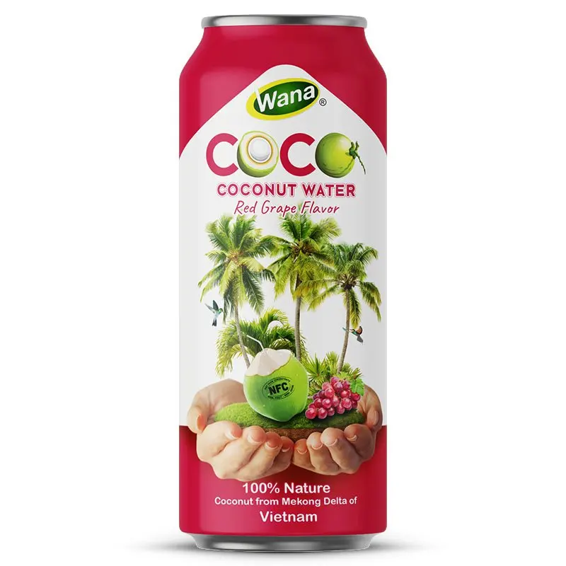 Fast Delivery Natural Soft Drinks Wholesale Juice 500ml Coconut Water With Pomegranate Juice from Wana Beverage Manufacturer