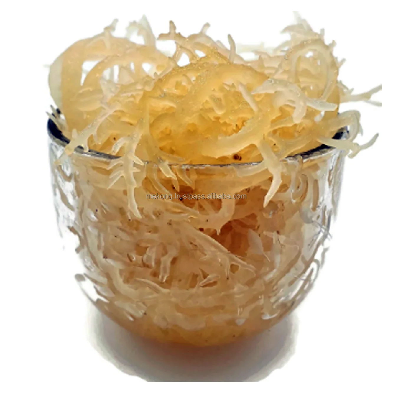 Высококачественный сушеный ирландский мох для перепродажи FBA с бесплатным пользовательским логотипом из Вьетнама