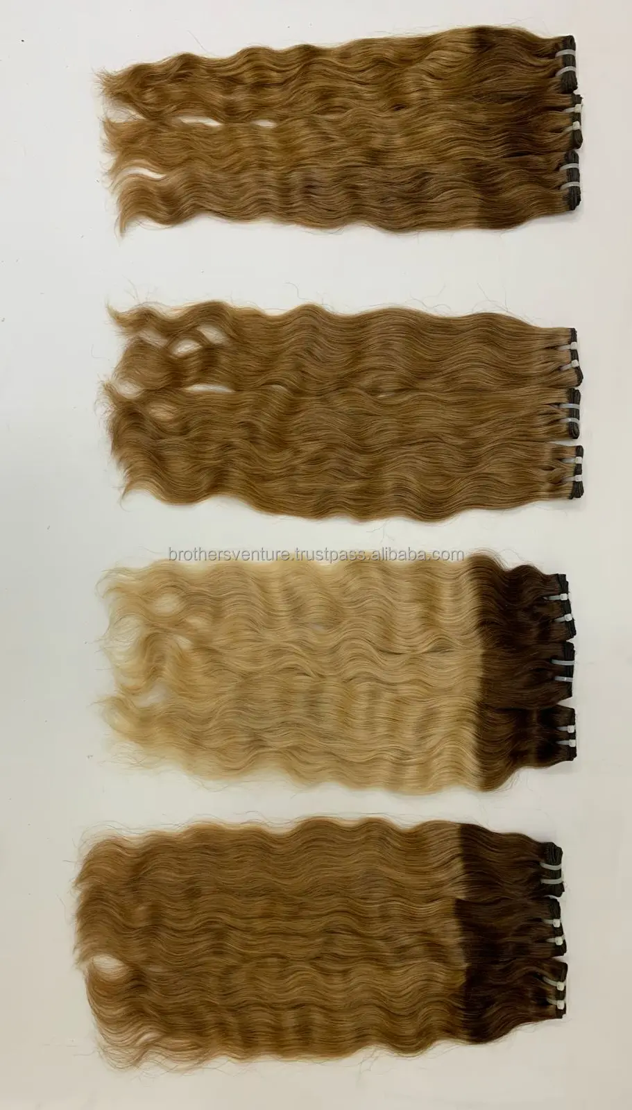 kashi  colour 14.JPG