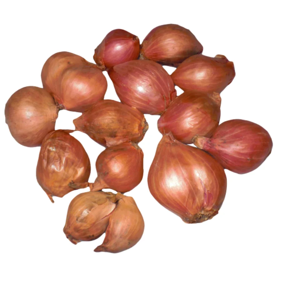 [HOT SALE 2022] Fresh Onion With High Quality Wholesale Cheap Price Ready To Ship From Viet Nam