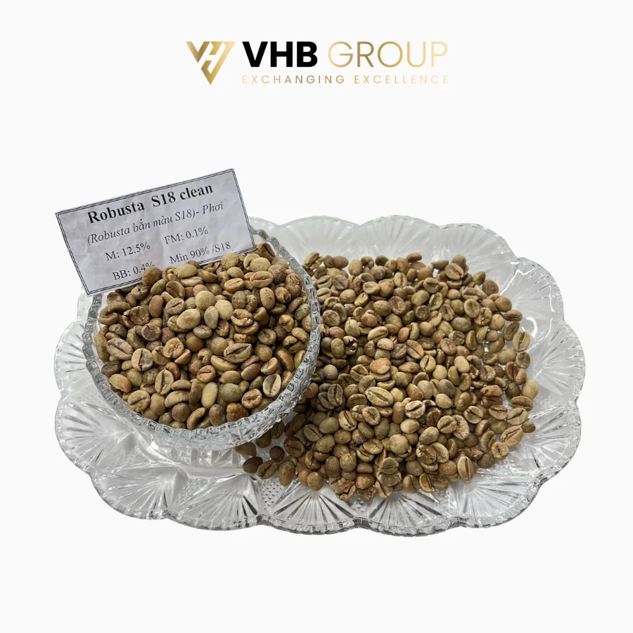 2024 Hot Sale Green Coffee Beans Fruity Green Bean Coffee Exercise Performance Coffe