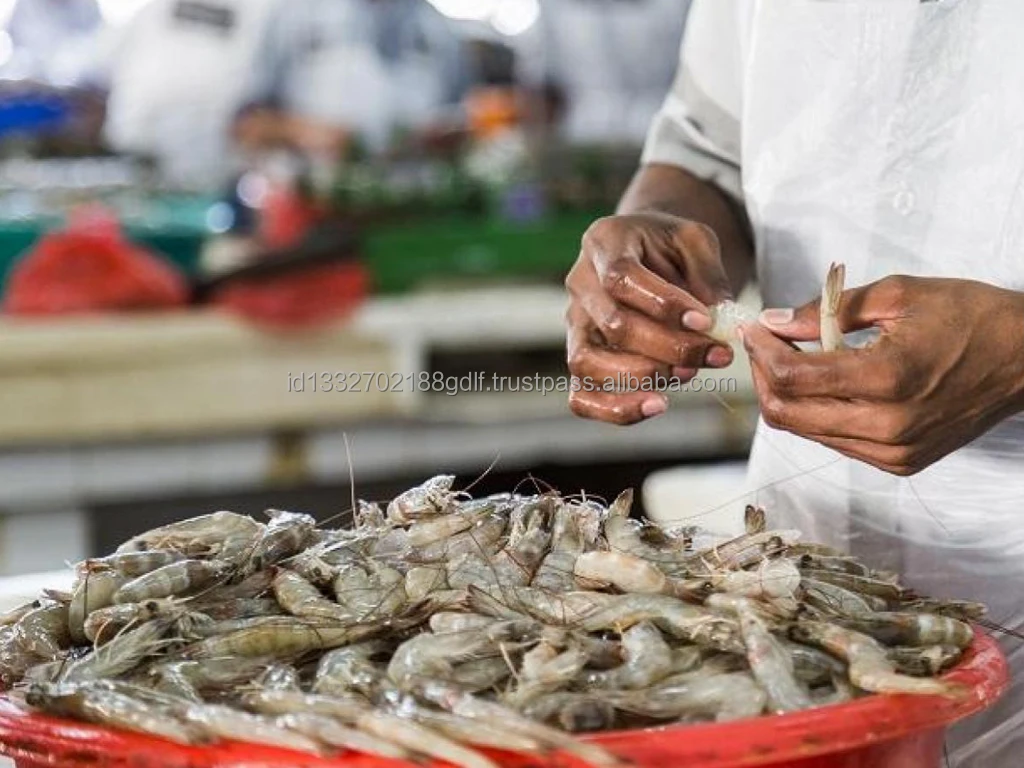 100% High Quality Wholesale White Shrimp/Fresh Water Prawn/Frozen Vannamei Shrimp Feed From Indonesia