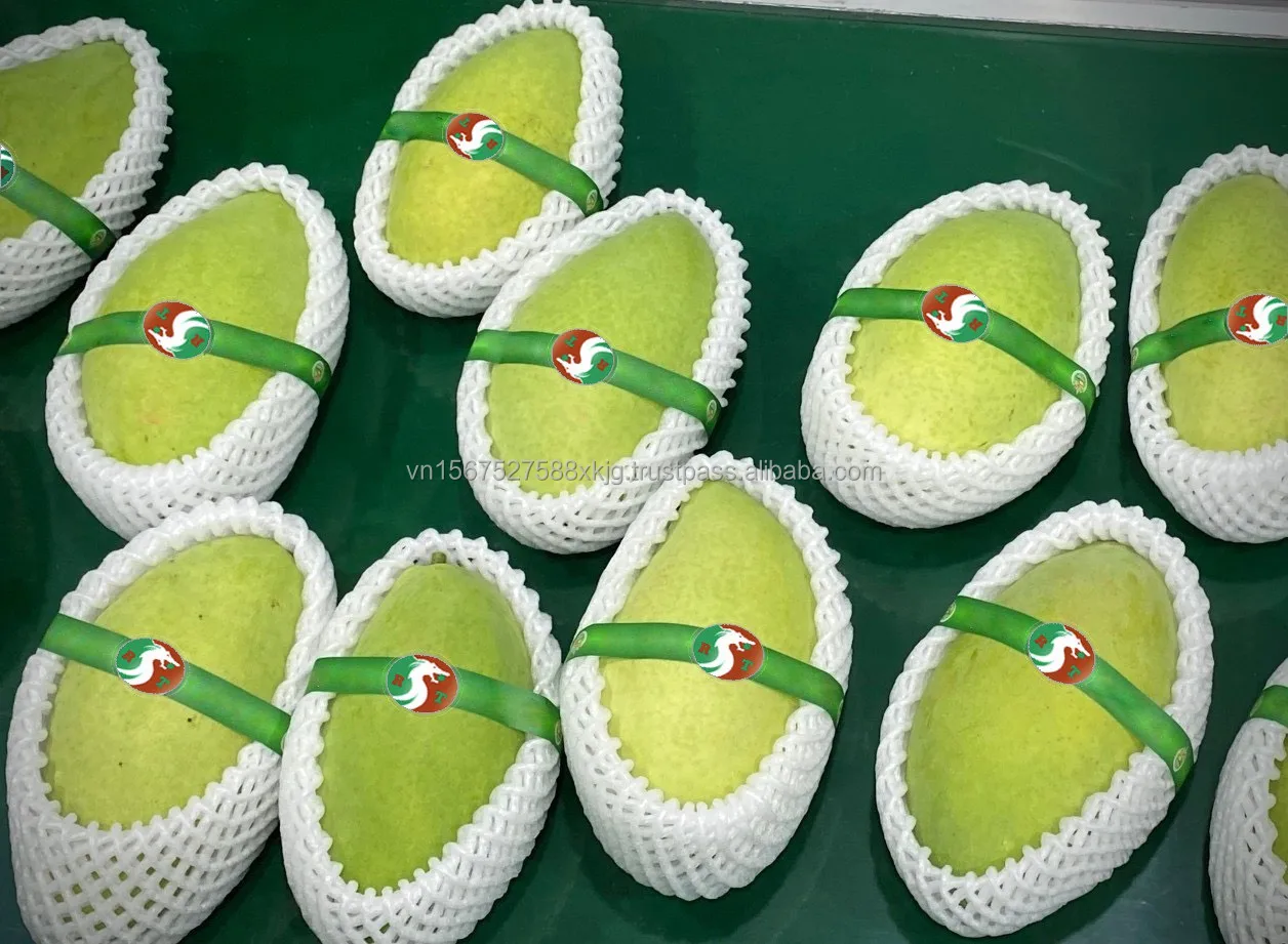 [Hot] Best sale Cat chu mangoes fresh fruit natural high quality exported from in Vietnam