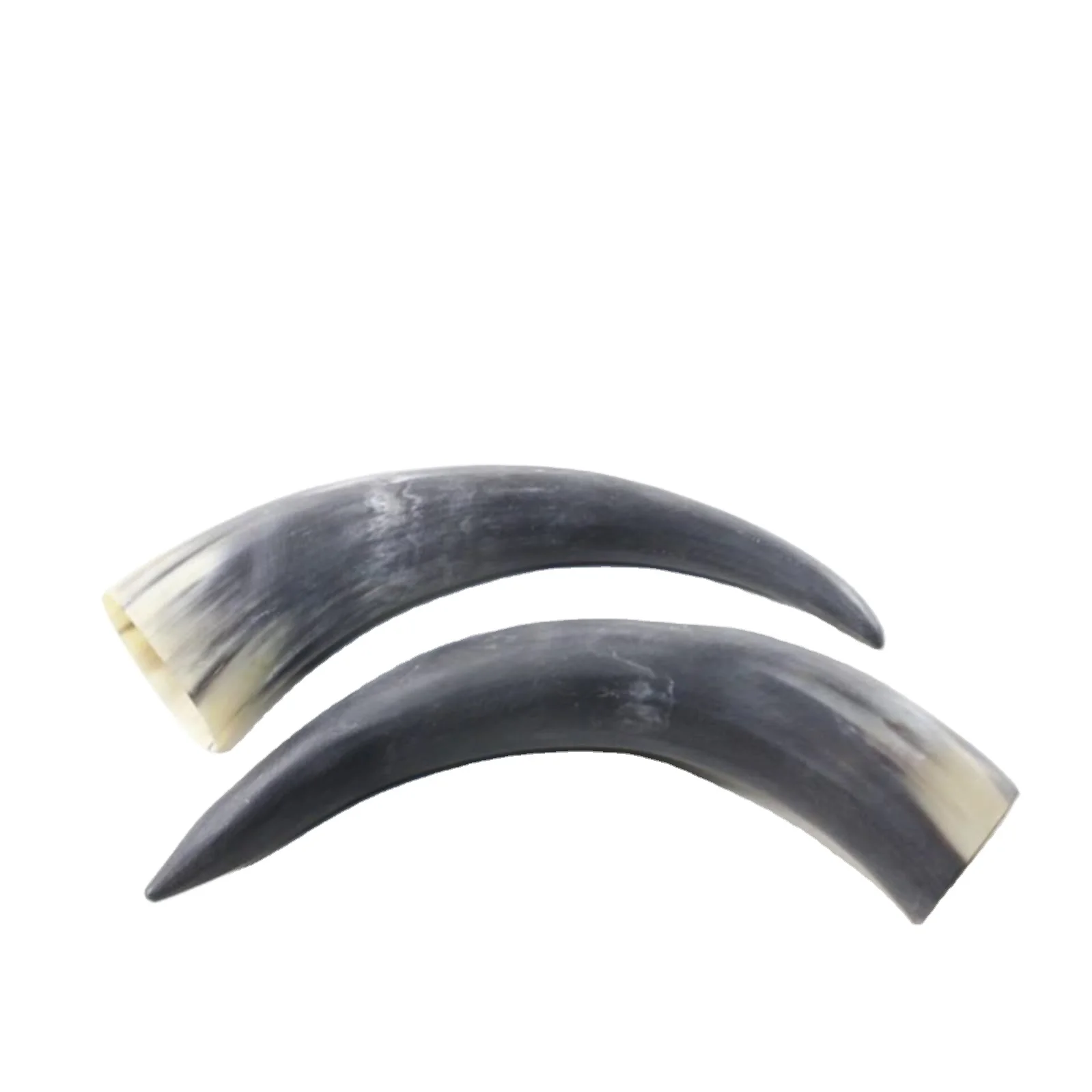 customized For Sale In Bulk Buffalo/cow Horn And Horn Tip/OX Natural Quality OX and Buffalo Horn from Bangladesh