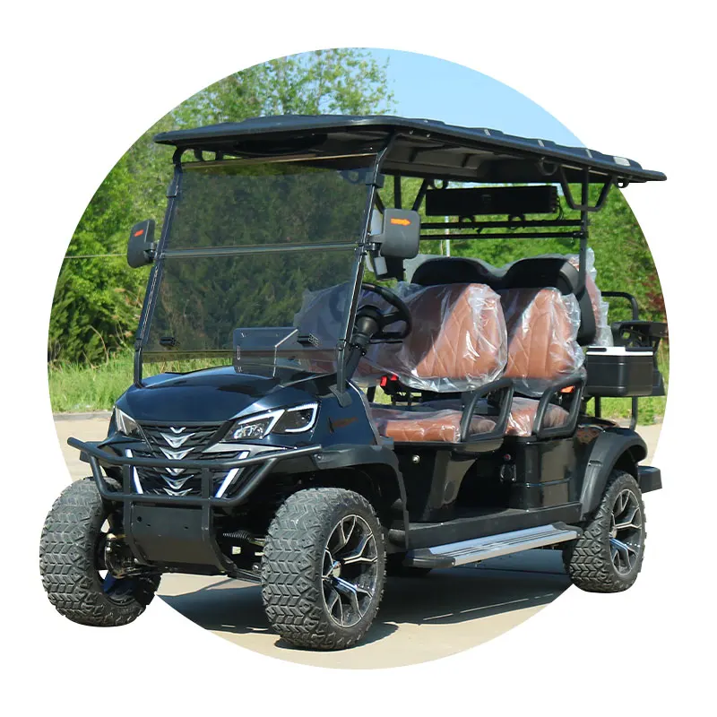 New Energy 2/4/6 Seats Metal Steel Plastic Hunting Club Car off Road Electric Golf Carts Car Buggy Scooter with Curtis