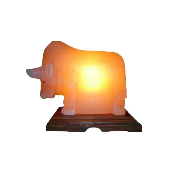 Buy Customized  Shape Mini USB Lamp Himalayan Pink Salt Lamp Premium Quality for Home Decoration OEM