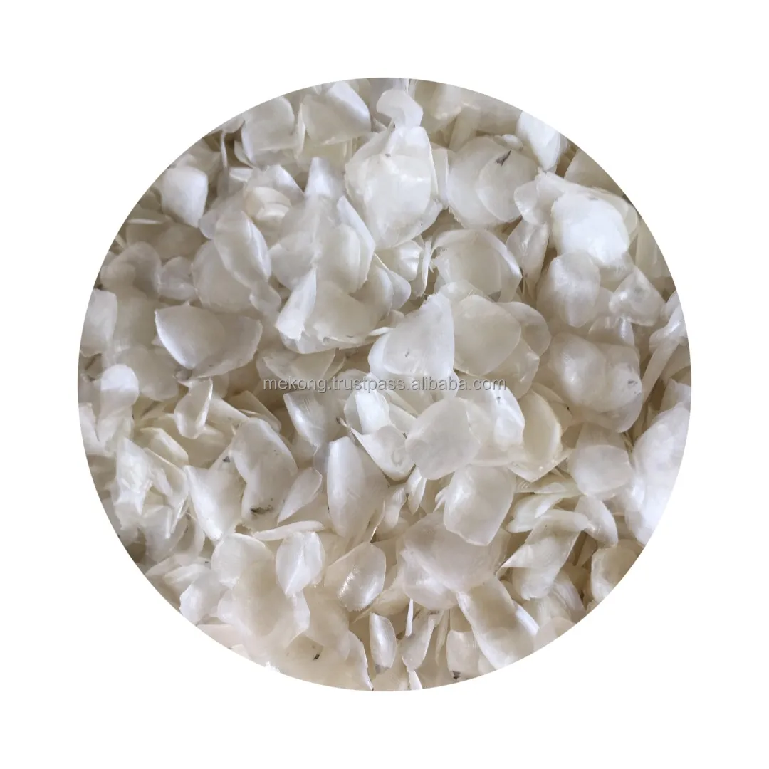 Hot Deal Best Selling Mekong Fish Scales Ossein For Extracting Collagen Powder From Viet Nam