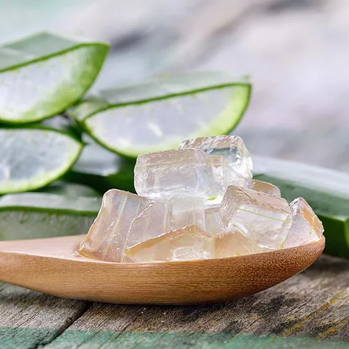HIGH QUALITY DELICIOUS ALOE VERA DICE - ALOE VERA JELLY FOR JUICE DRINK // Ms. Beatrix