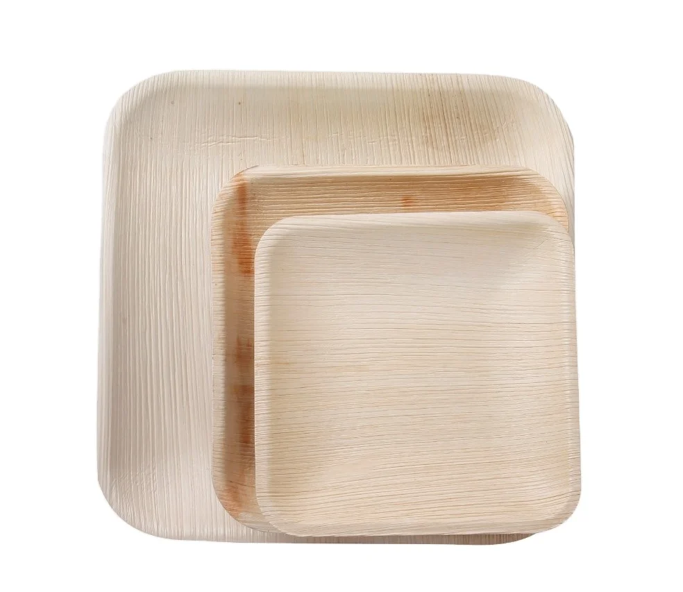 10 Inches Square Plates Areca Palm Leaf and Bamboo Plates Snack and Sweets Dishes Party Plates