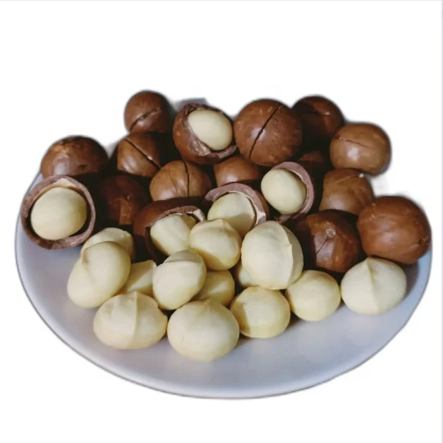 Орехи макадамии большие размеры Вьетнам Лучшая цена пищевые добавки производство оптовая продажа орехов Macca