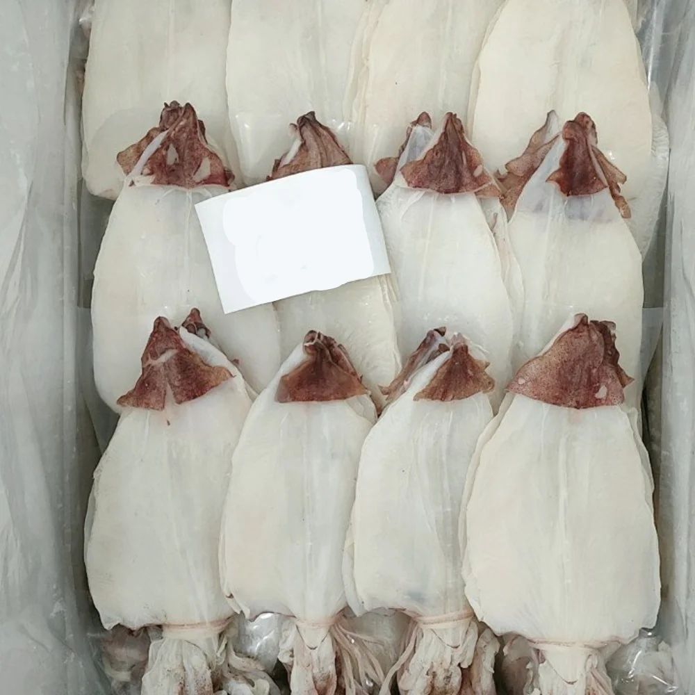 Hot Selling Bulk Dried Squid Dry Cuttlefish Snacks Low-Carb From Vietnam Factory Ready To Export Thailand, China, Korea Market