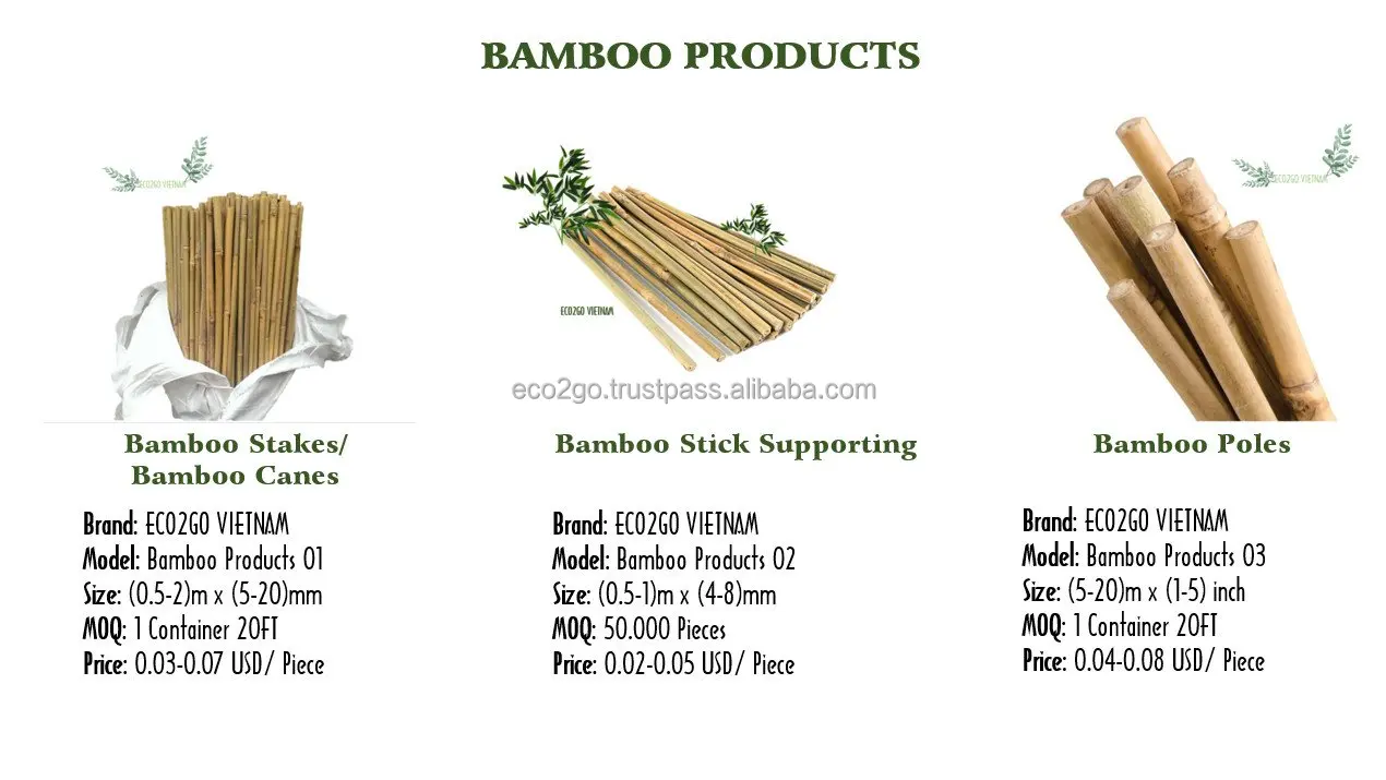Bamboo 2.jpg