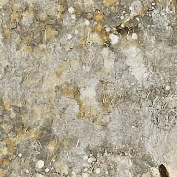 Eco-friendly and Colorful wall decoration Wallpaper with multiple functions made in Japan